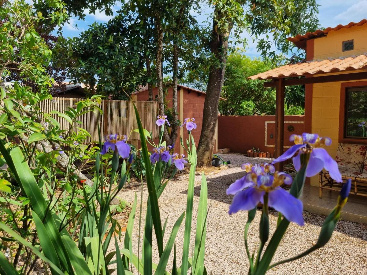Free Soul House - Localizacao Ideal No Centrinho Alto Paraíso de Goiás Екстериор снимка